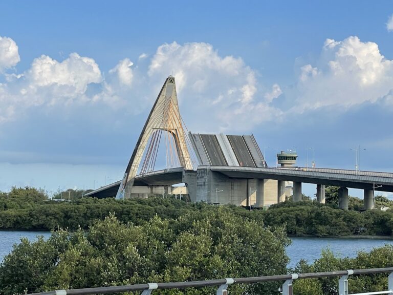 屏東東港鵬灣跨海大橋全景，南台灣著名的開合式跨海橋