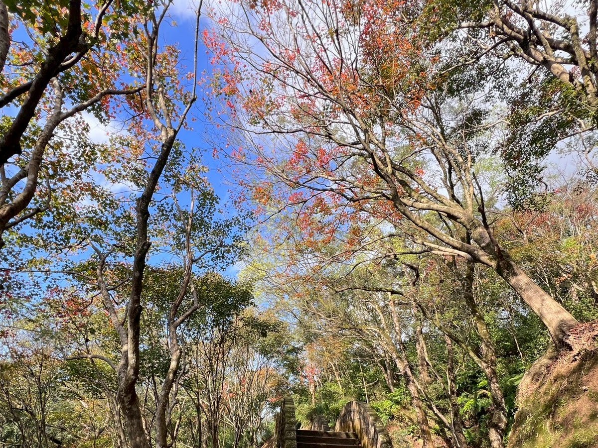 拱北殿秋楓步道石階紅葉