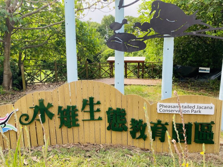 水雉生態教育園區庭園入口黃色圍籬與Pheasant-tailed Jacana Conservation Park指示牌