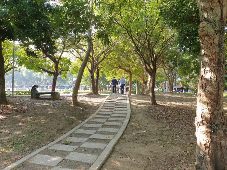古坑綠色隧道公園林蔭步道景色 - 雲林古坑一日遊