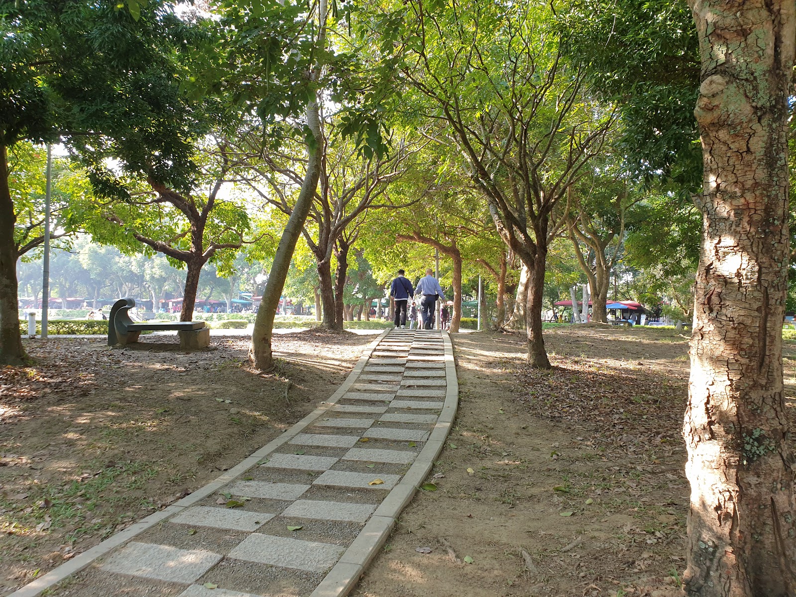 古坑綠色隧道公園林蔭步道景色 - 雲林古坑一日遊