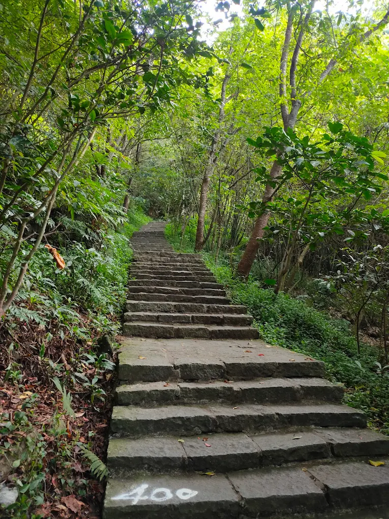 觀音山硬漢嶺登山步道