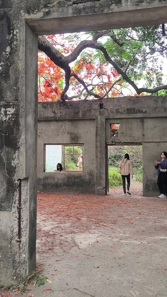 南台灣鳳凰花秘境懶人包｜8個必拍火紅花景、老屋廢墟與運河鐵道一次收藏