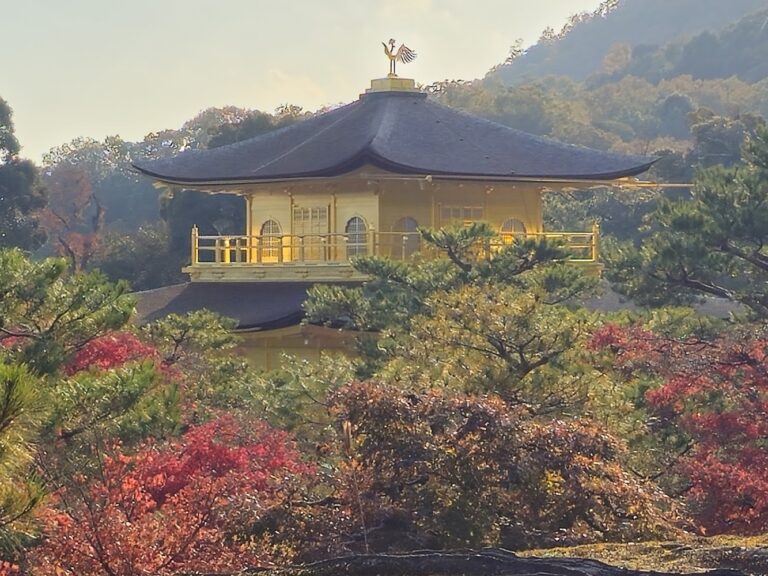 日式京都景點懶人包:伏見稻荷、清水寺、嵐山到錦市場一次看懂