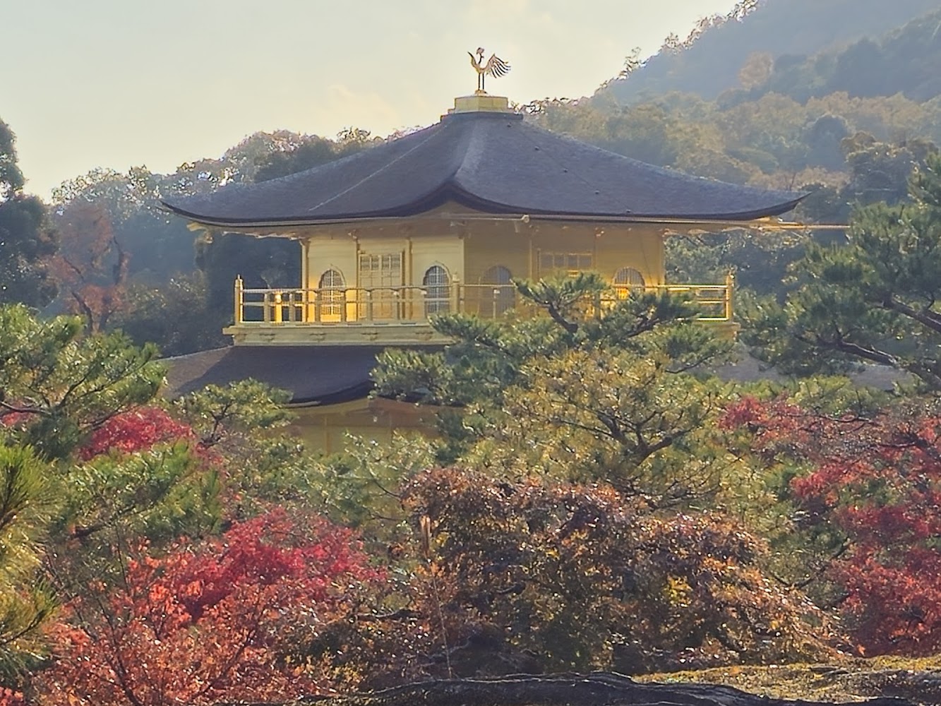 日式京都景點懶人包：伏見稻荷、清水寺、嵐山到錦市場一次看懂