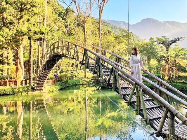 溪頭自然教育園區｜ETtoday旅遊雲