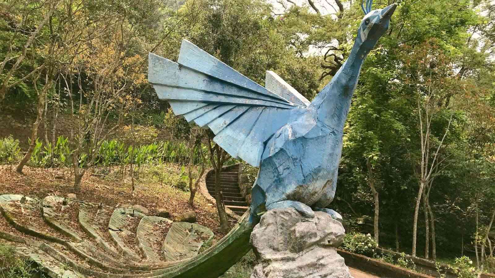 鳳凰谷鳥園生態園區｜南投縣政府