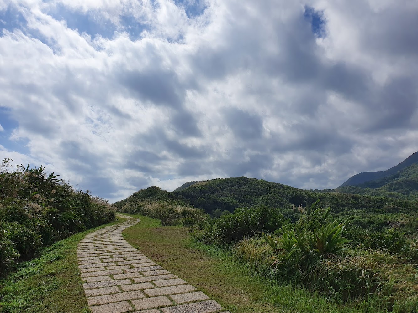 龍洞灣岬步道懶人包 2 大必訪看點與路線玩法一次看