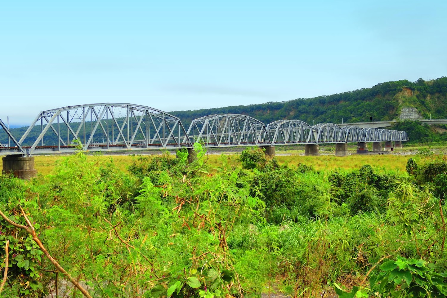 大安溪鐵橋深度旅遊指南：舊山線百年鋼橋風景、歷史亮點與散步路線一次看