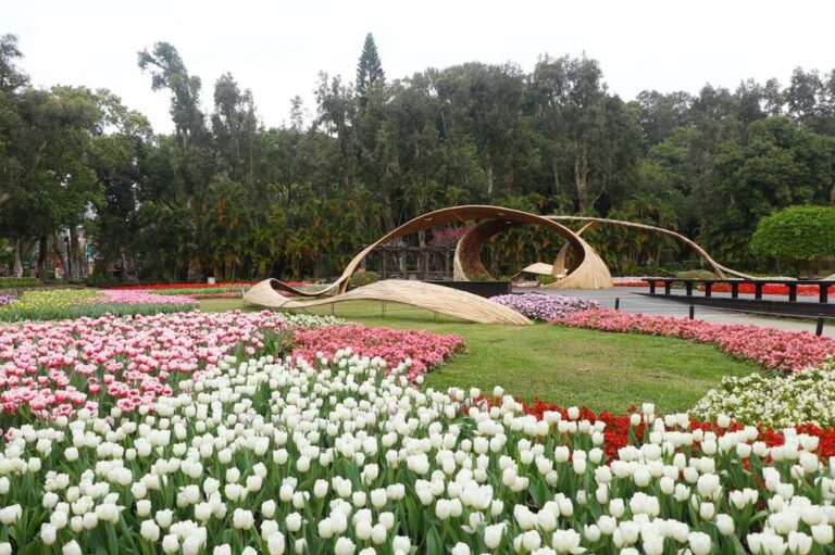 士林官邸鬱金香花海|台北旅遊網