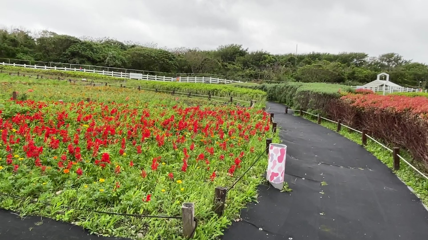 花蓮景點懶人包：精選 8 大必訪海景、秘境與親子散步地圖
