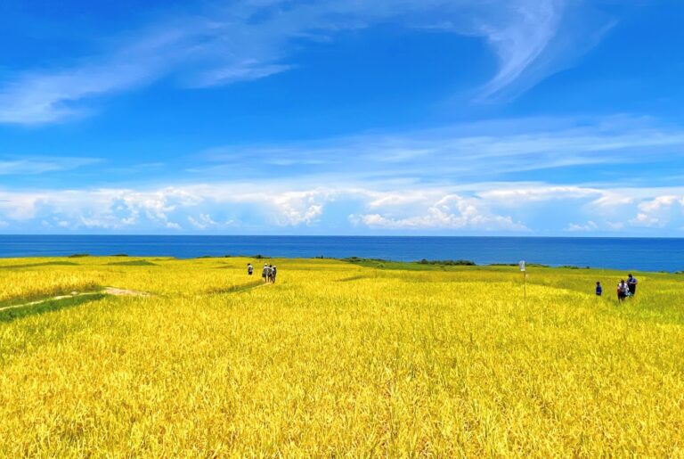 花東景點懶人包 8個山海系必訪秘境與人氣景點一次收錄