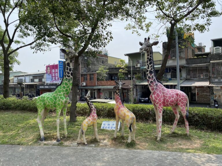 樹林景點懶人包 10個值得排進行程的山景步道、鐵道公園與河濱秘境