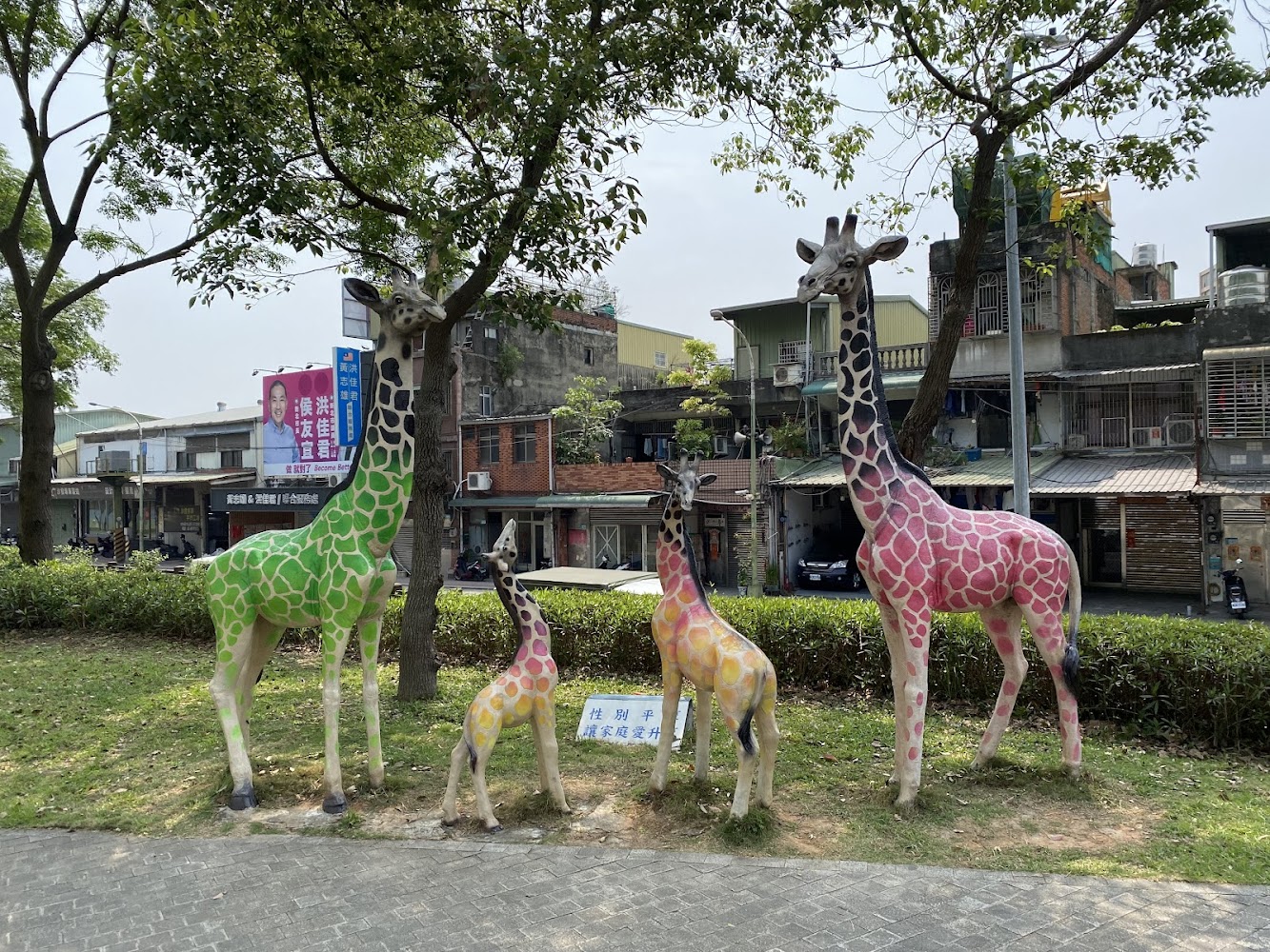 樹林景點懶人包 10個值得排進行程的山景步道、鐵道公園與河濱秘境