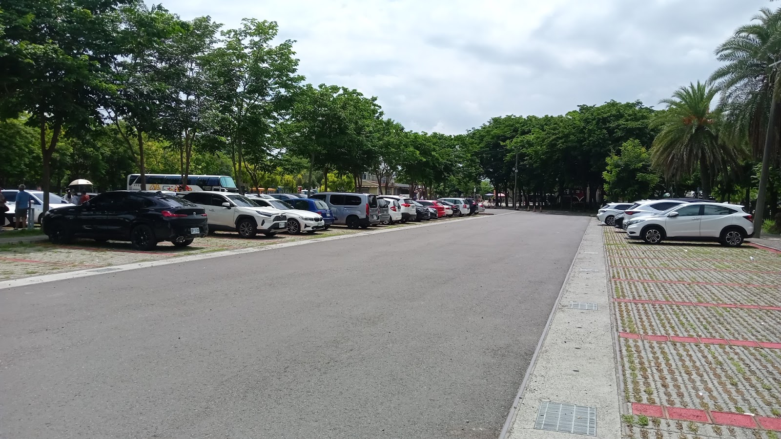 嘉義蒜頭糖廠蔗埕文化園區停車廣場綠蔭樹木