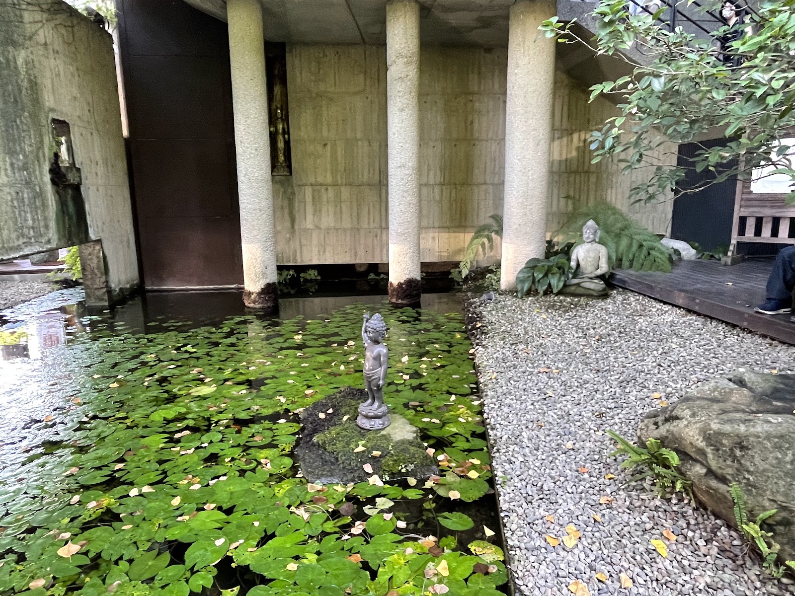 台中大里菩薩寺庭院睡蓮池清水模建築一日遊