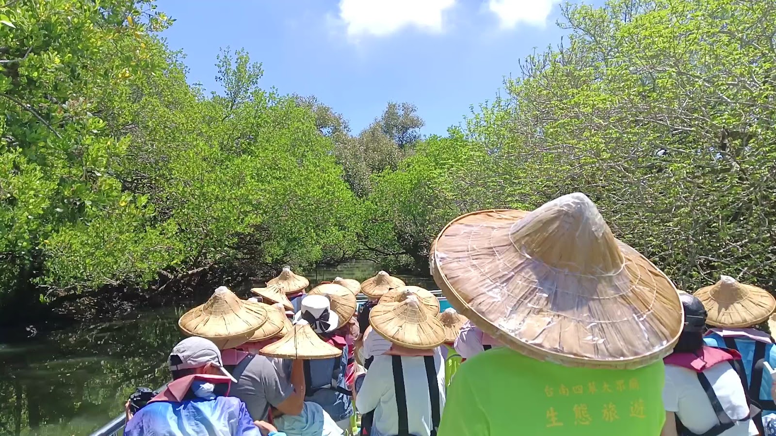 四草綠色隧道紅樹林拱頂