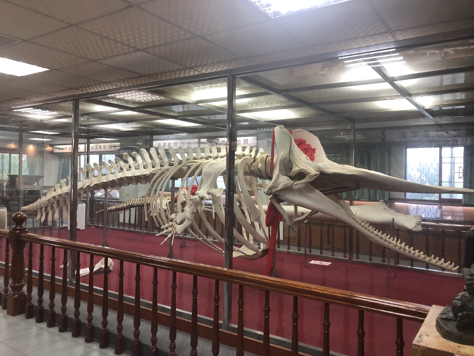 四草濕地紅樹林生態景觀