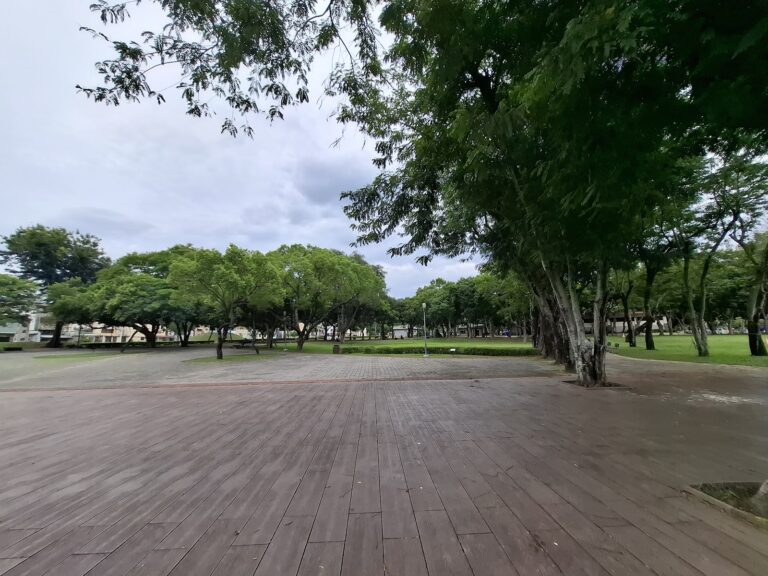台中太平坪林森林公園環湖步道，太平一日遊必訪城市綠洲