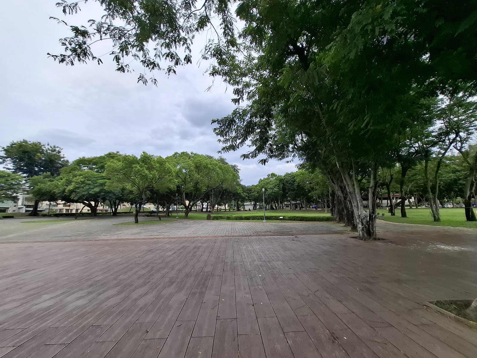 台中太平坪林森林公園環湖步道，太平一日遊必訪城市綠洲