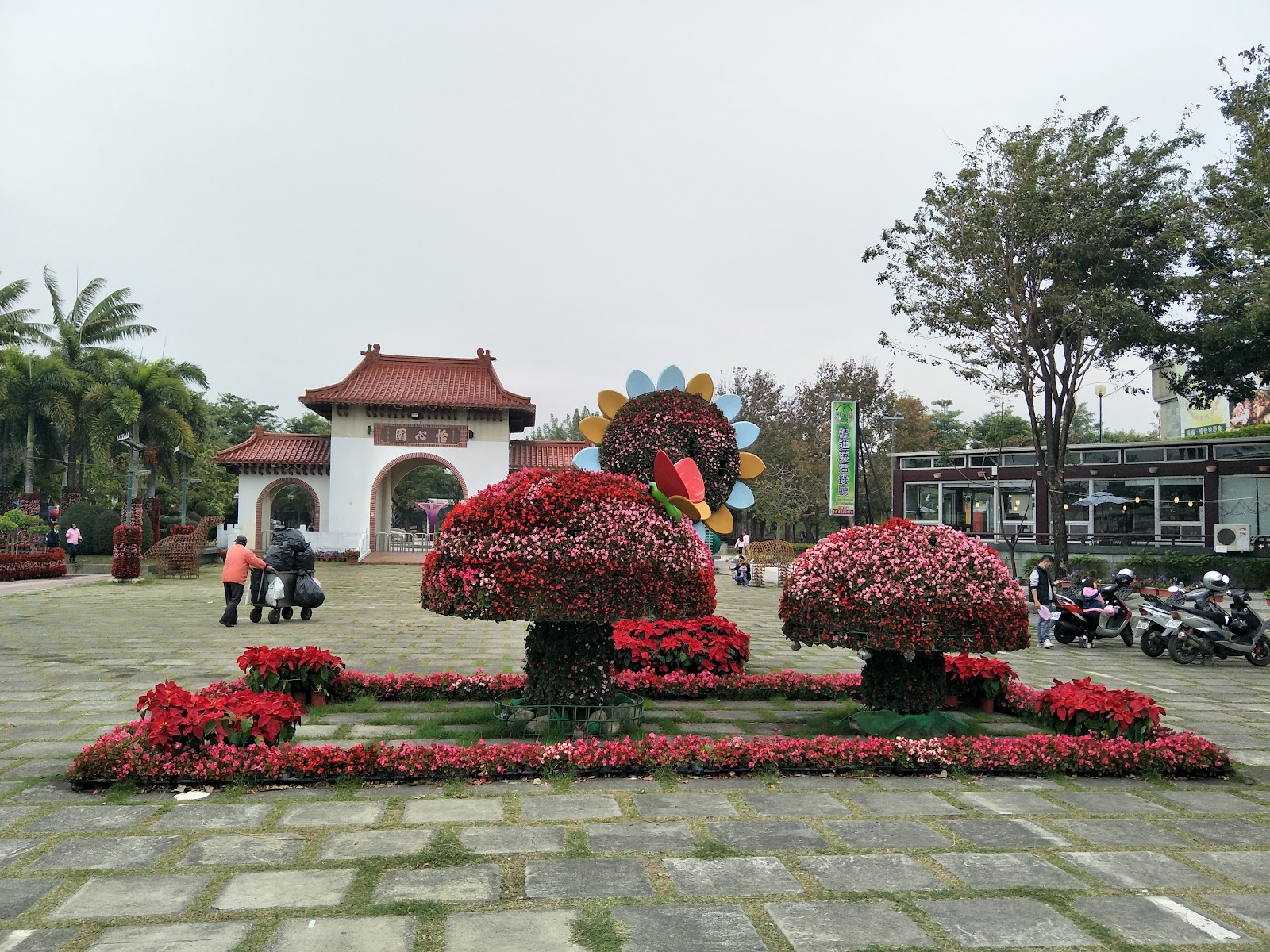 彰化田尾公路花園一日遊，花海盆栽景點彰化必訪