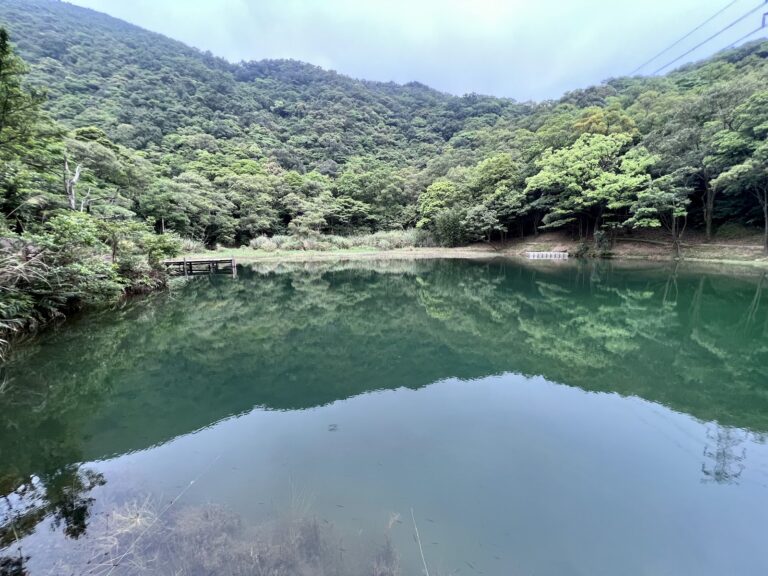 新山夢湖湖面翠綠倒映山林，新北汐止秘境