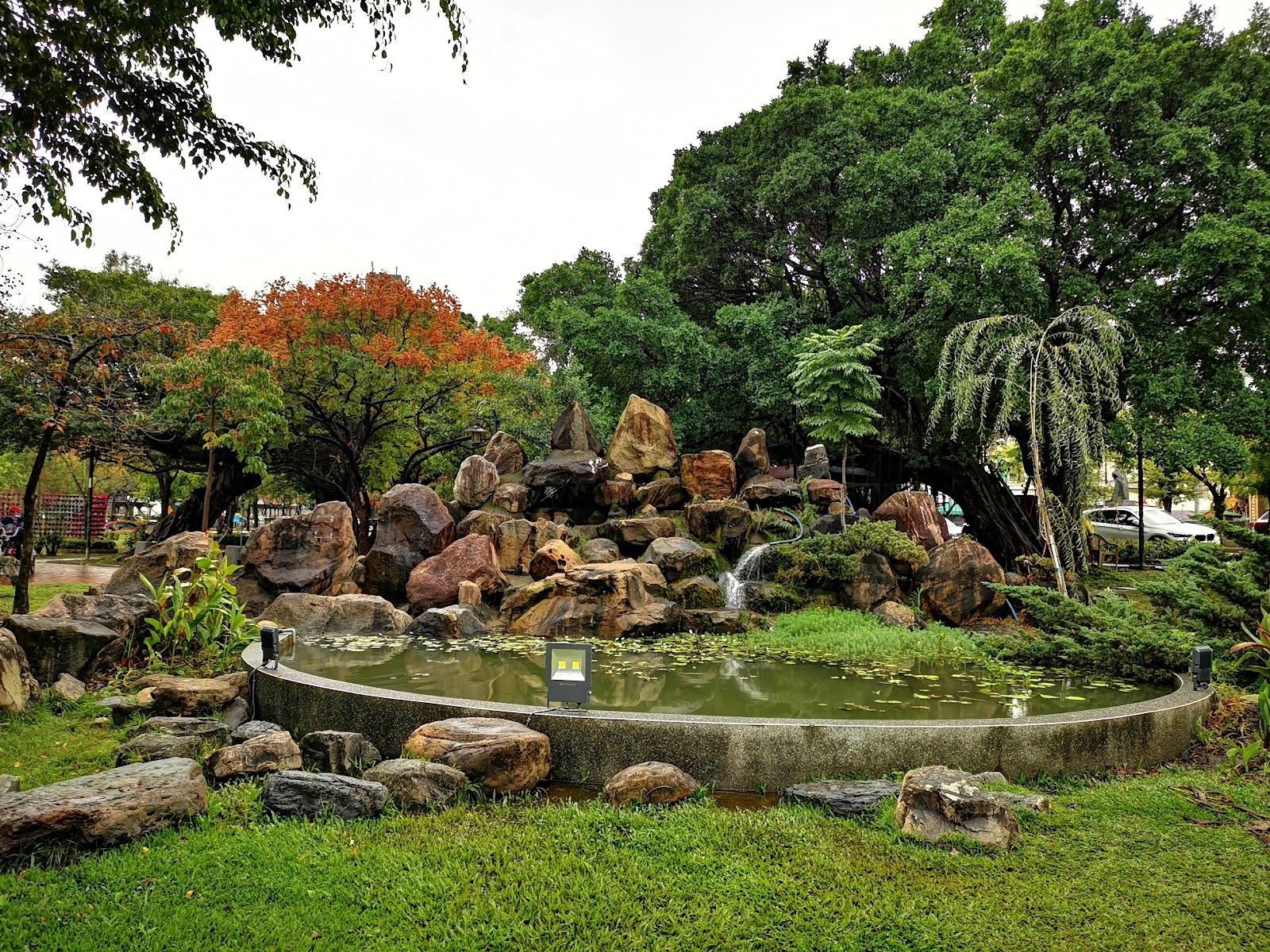 員林公園假山水池蓮花景觀，彰化員林景點