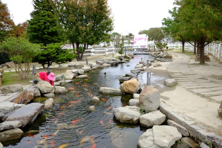 雲林斗六千巧谷牛樂園牧場廣闊牧場景色，乳牛與綠地