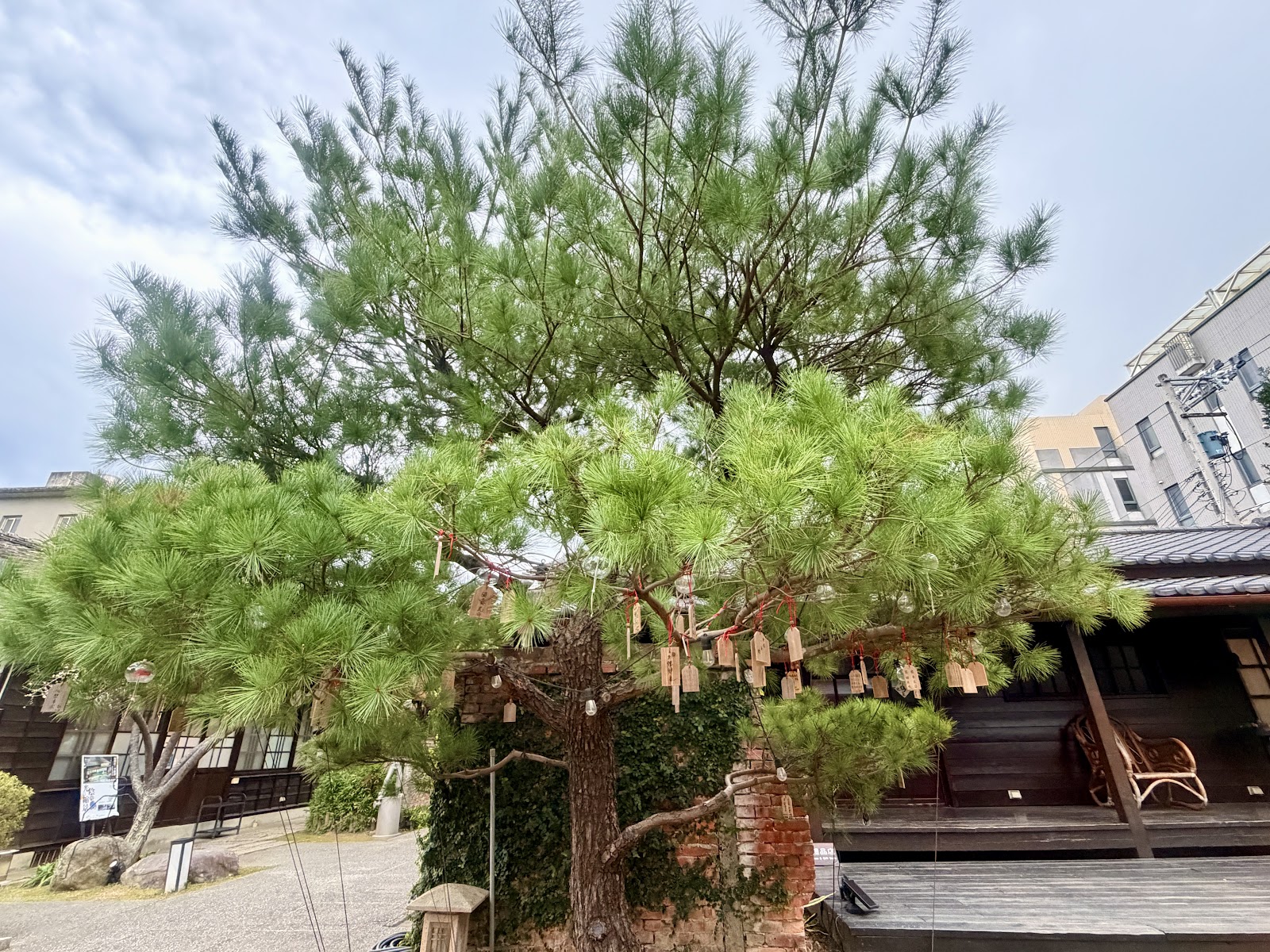 蕭如松藝術園區入口松樹木牌，竹東一日遊必訪藝術景點