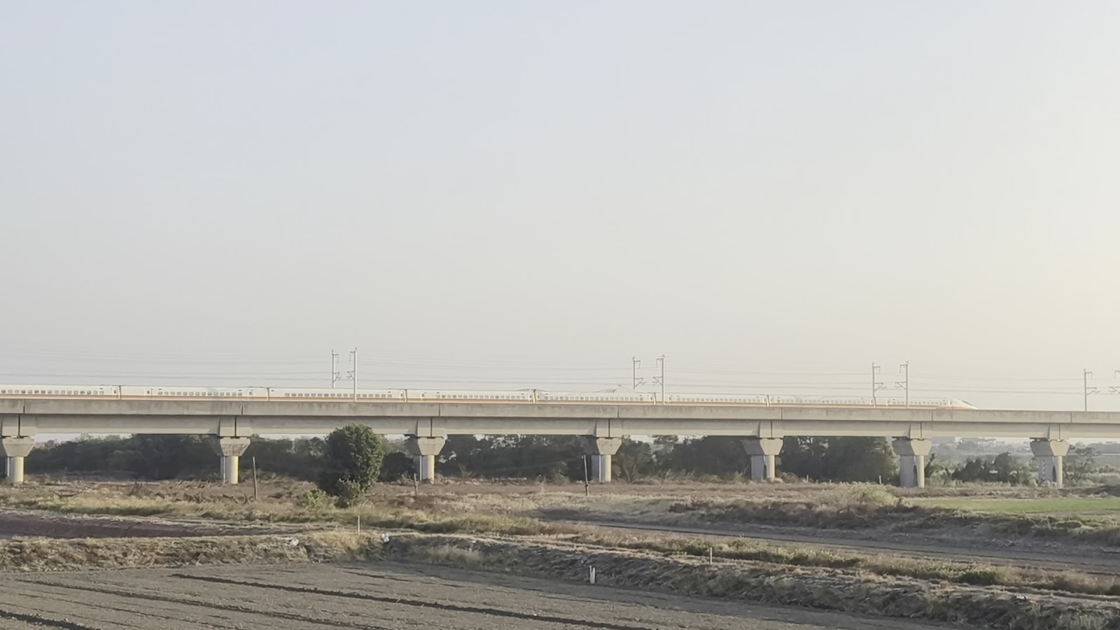 竹塘九龍大榕公旁的高鐵高架橋遠景