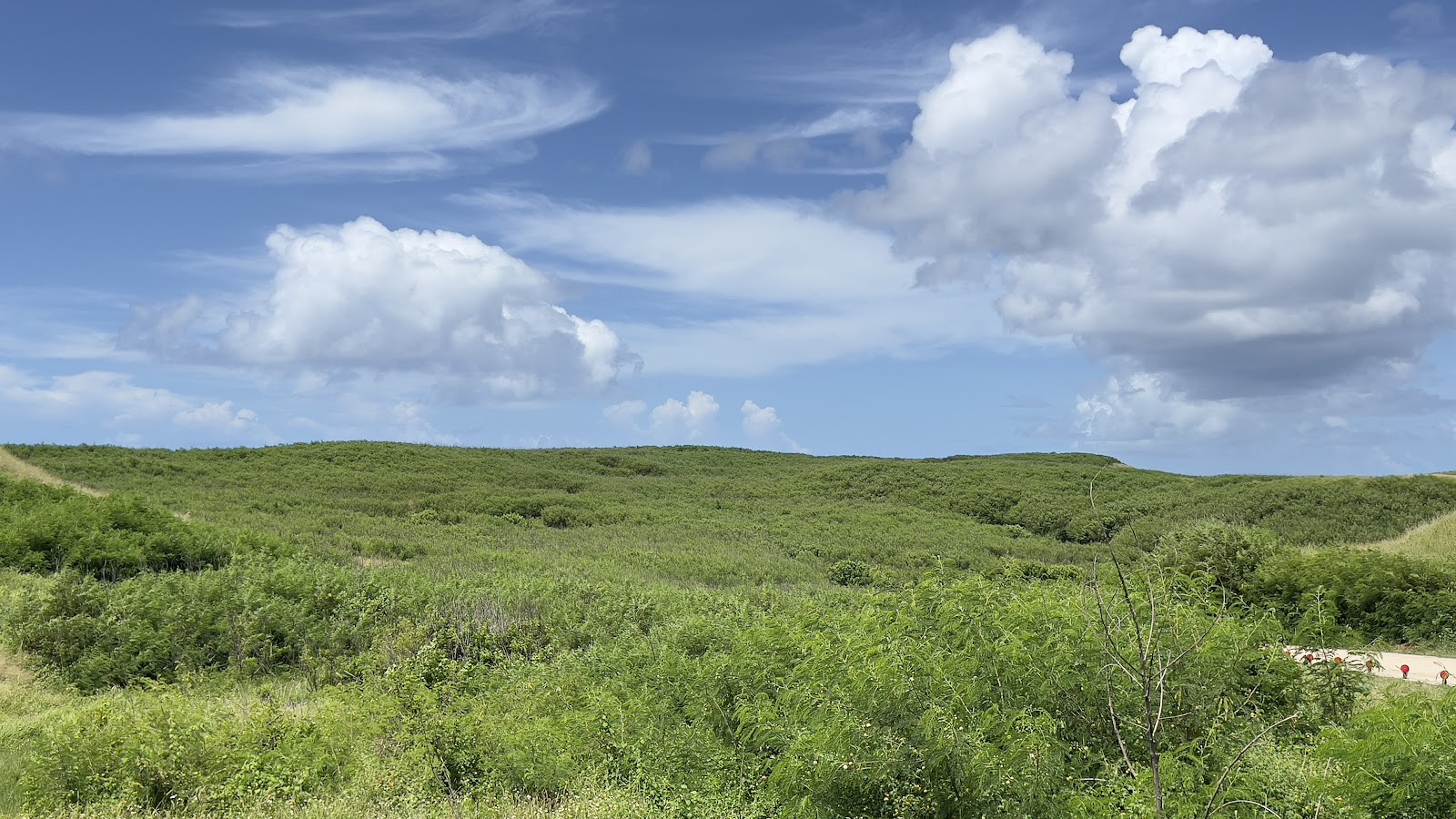 望安島連綿翠綠丘陵景觀,夏日藍天白雲,右下角可見遊客蹤影