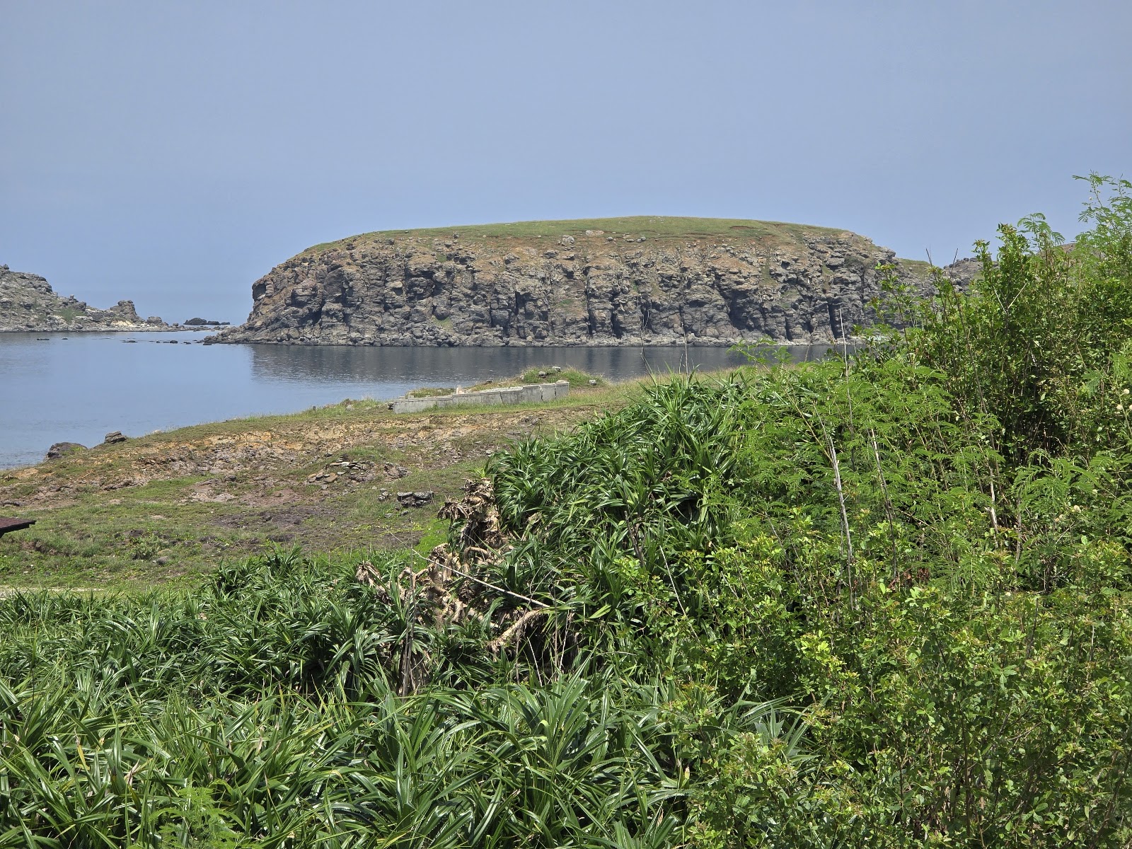 鴛鴦窟藏軍洞附近玄武岩礁嶼海灣,前景茂密綠色灌木叢望安島