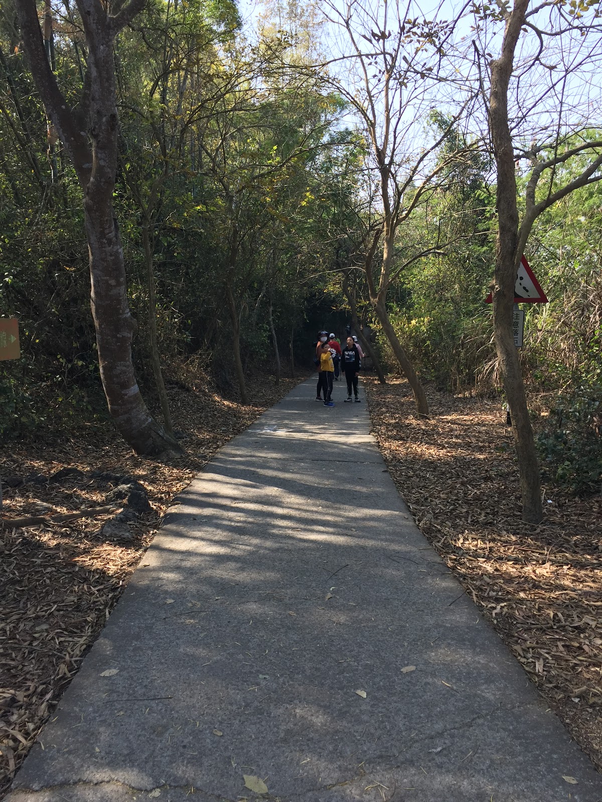 大崗山生態園區林間步道