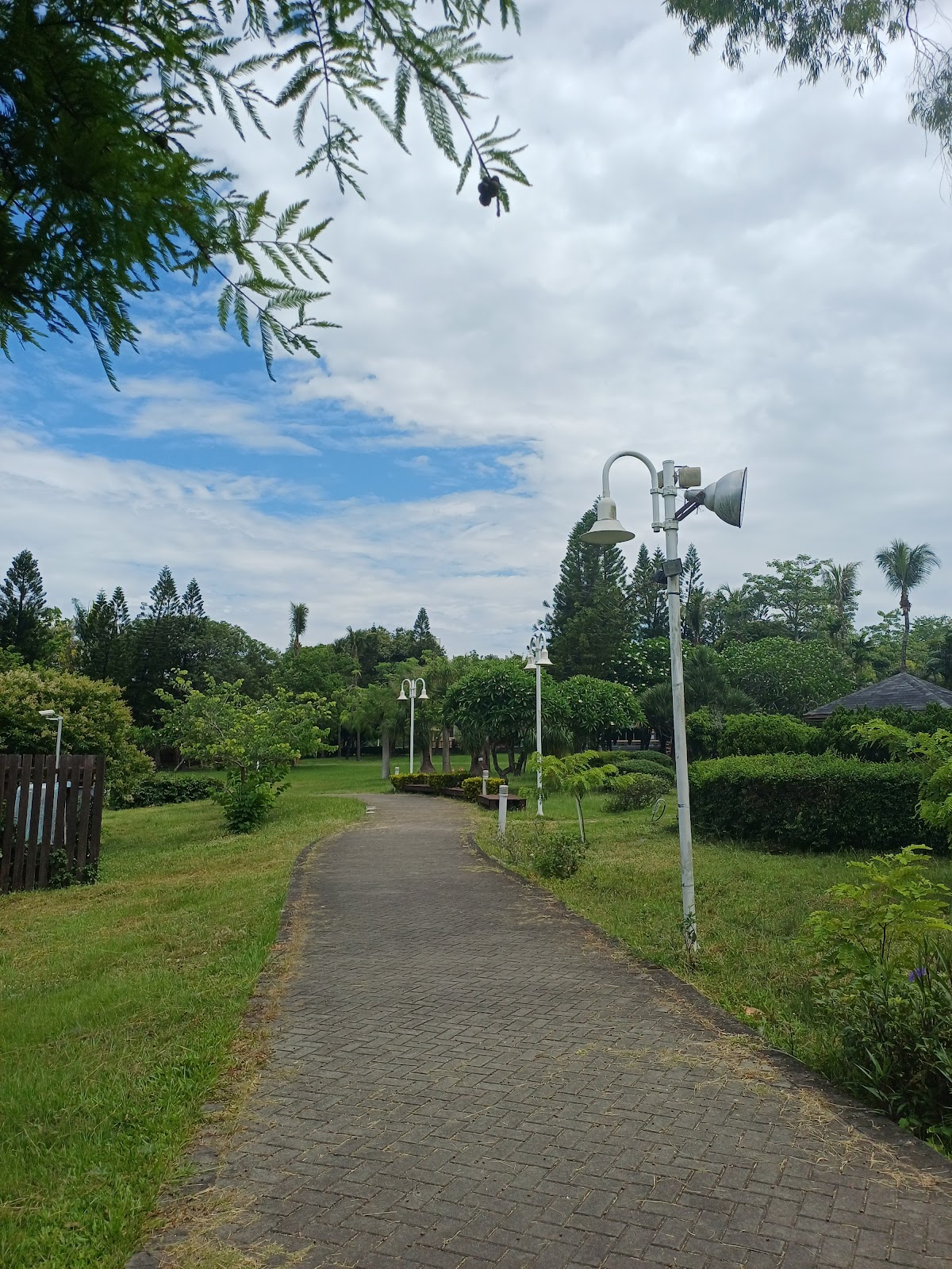 溪州公園綠蔭大道路燈步道,彰化溪州一日遊