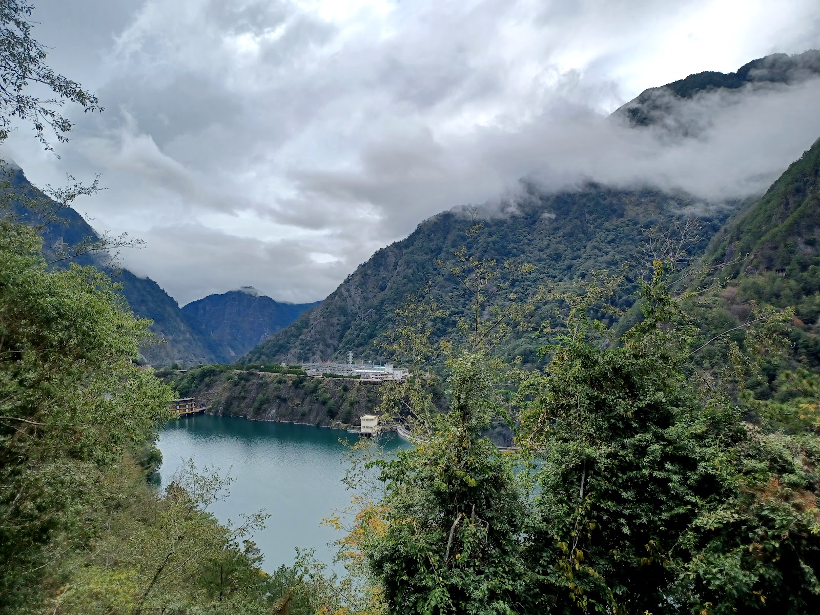 穿越樹梢俯瞰德基水庫翡翠水面與水壩，山腰白雲壓頂