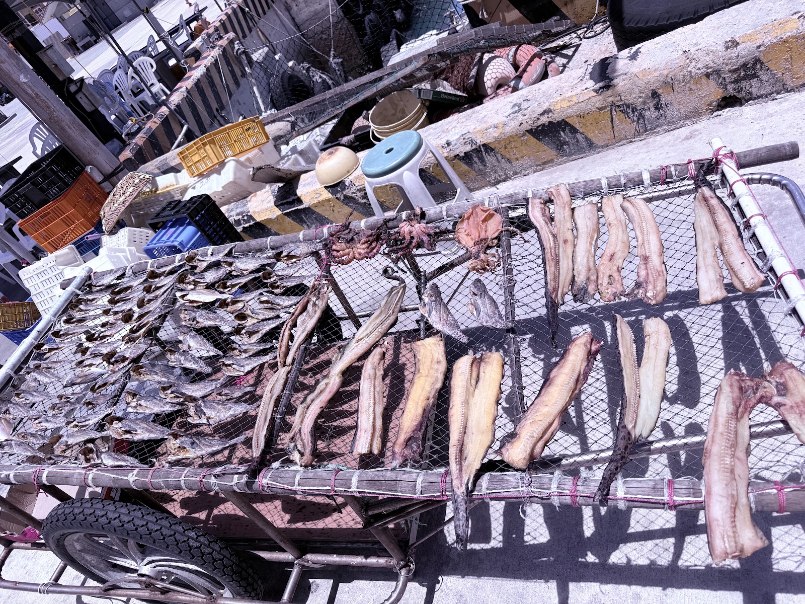 鳥嶼漁民曬魚乾成排陳列在竹竿架上