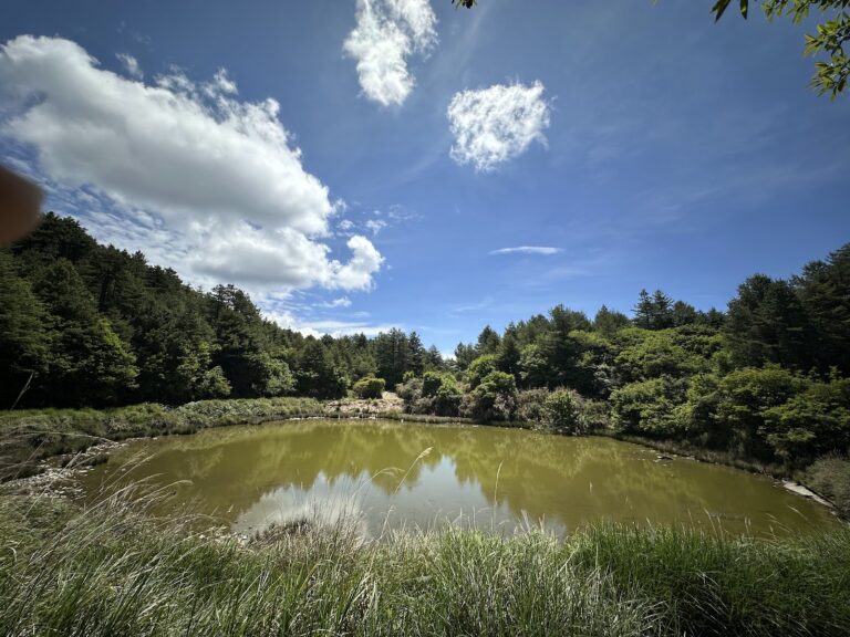 大雪山山中小湖藍天白雲倒影