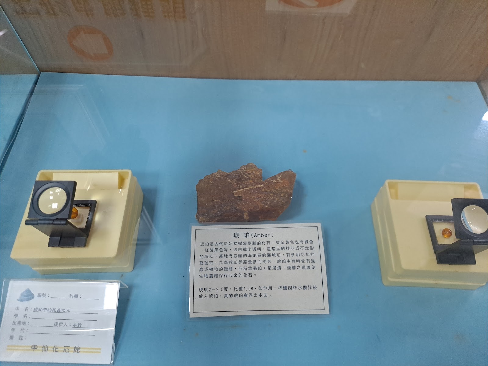 甲仙化石館館內琥珀Amber標本展示藍色展示台放大鏡館藏說明牌