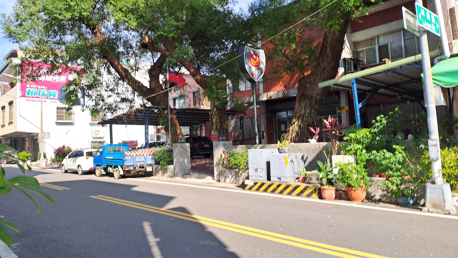 甲仙老街百年樟樹巨幹廣闊樹冠遮蔽街道兩側商家建築