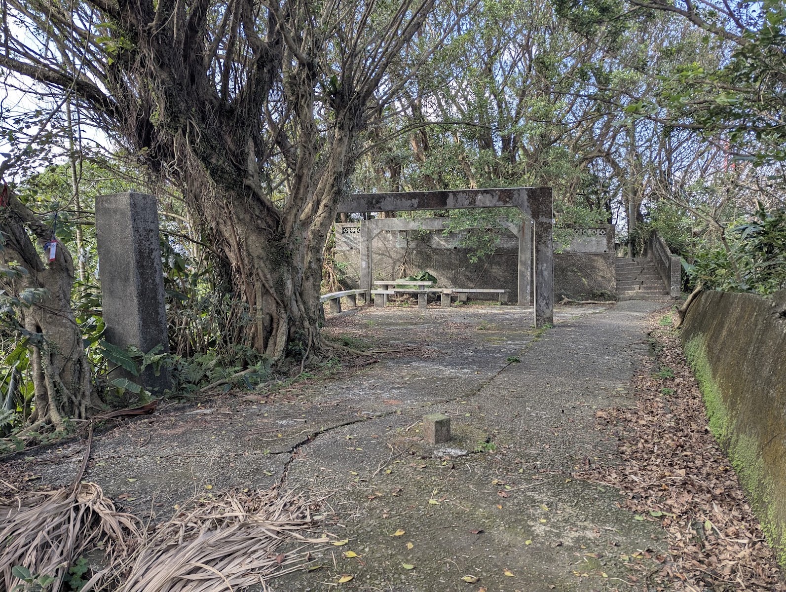 獅球嶺砲台石砌堡壘遺跡藏於林間