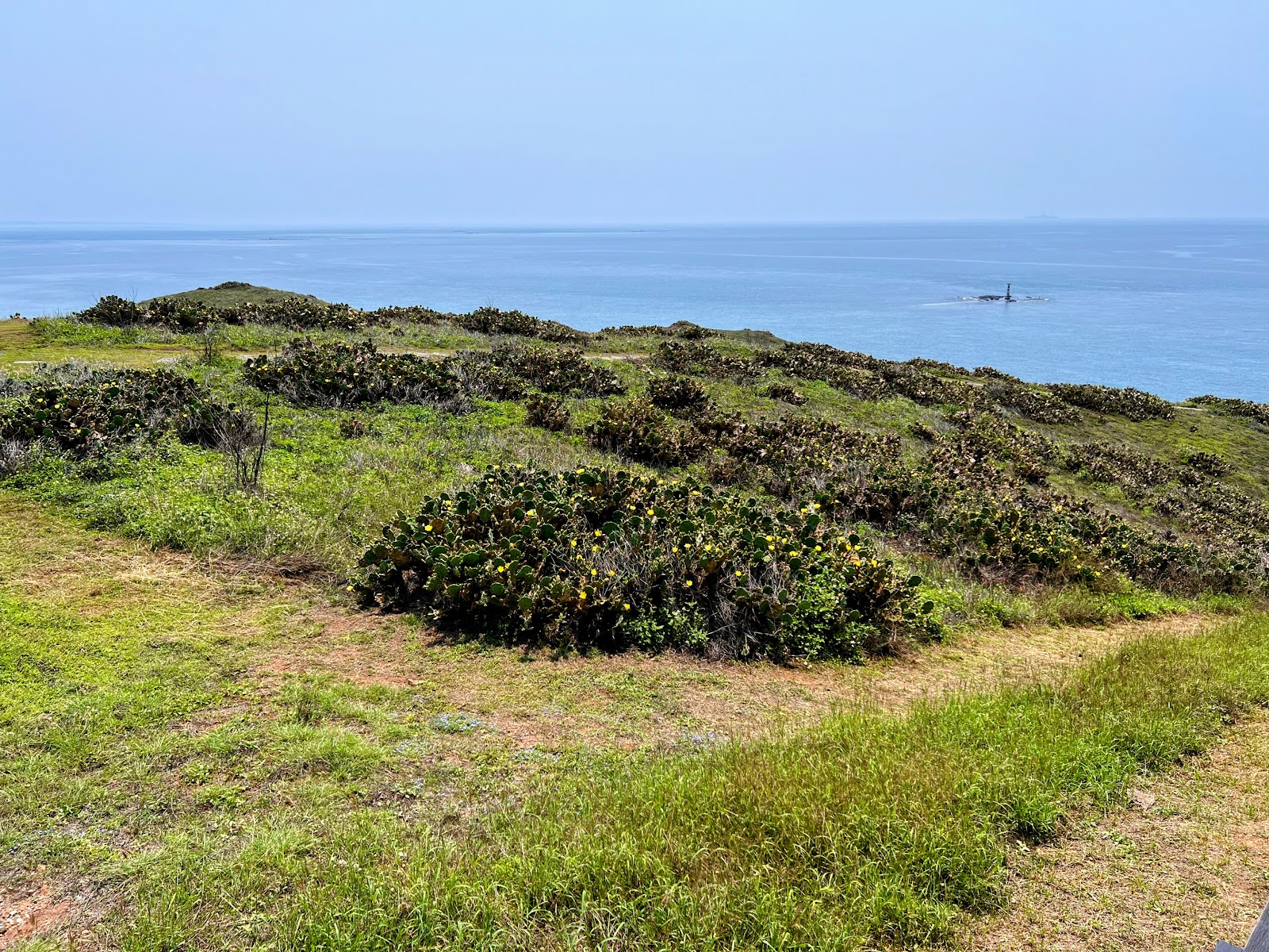 天台山山頂草坡俯瞰望安大海,低矮灌木叢點綴,視野360度開闊