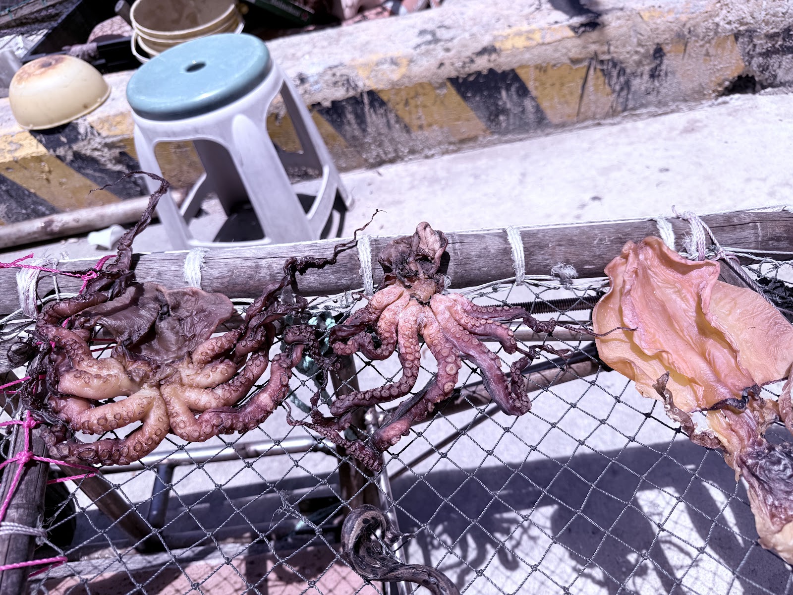 鳥嶼居民自曬的章魚乾與魷魚乾掛在竹架上