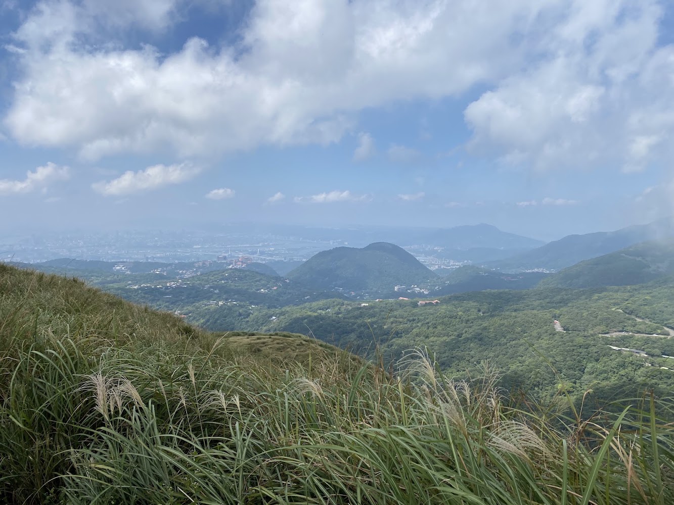 藍天白雲下的綠色山丘與前景芒草