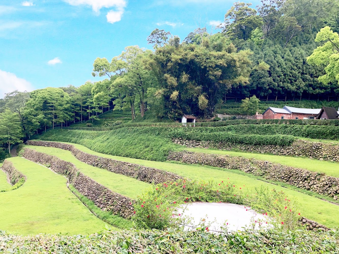 自然谷環境信託基地梯田與山林景觀