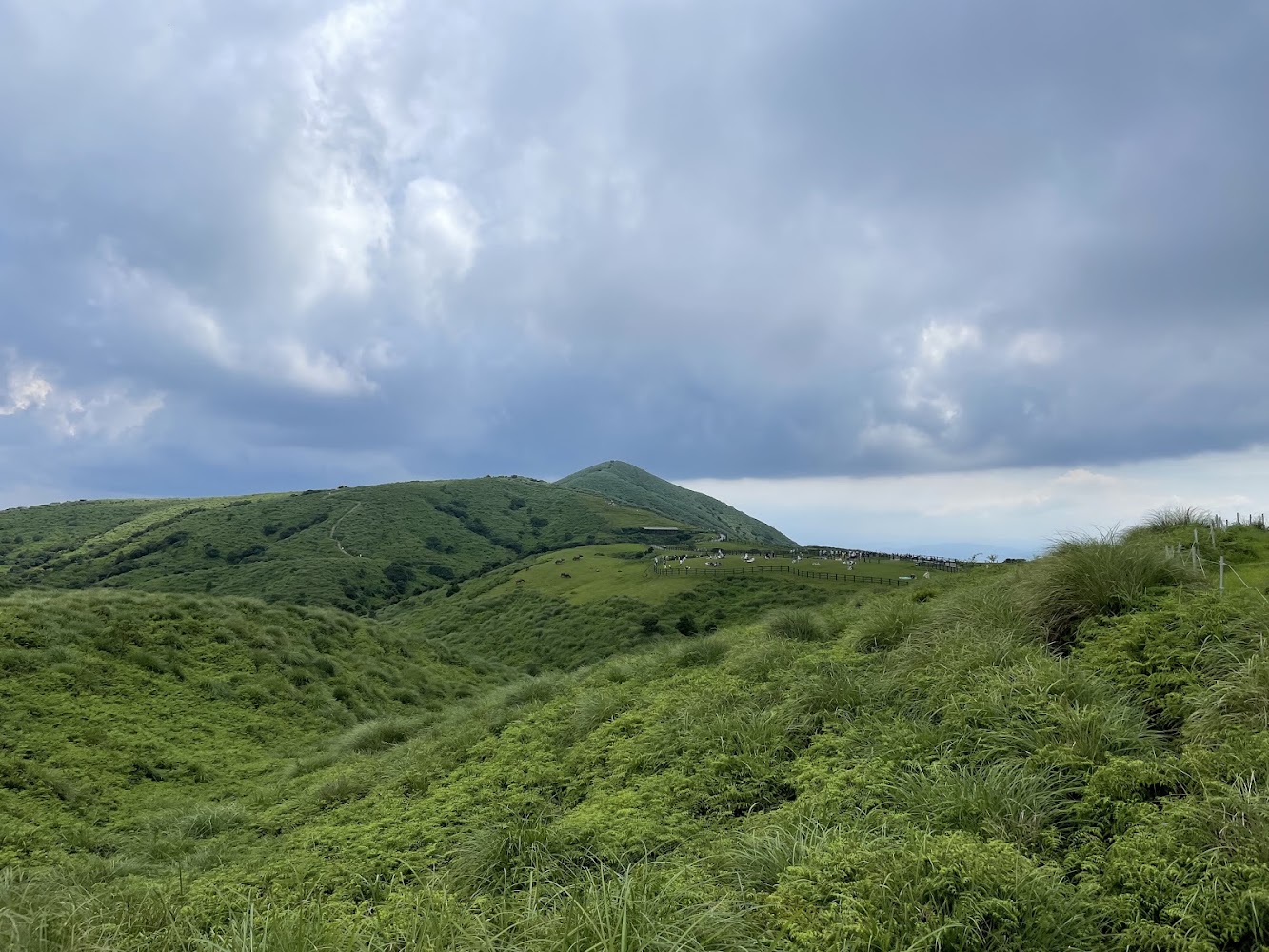 綿延綠色山丘與草原