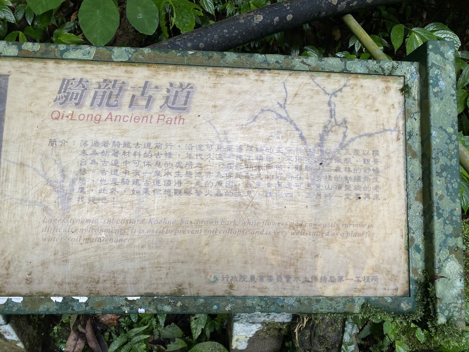 騎龍古道入口老舊解說牌，寫著Qi-Long Ancient Path古道簡介
