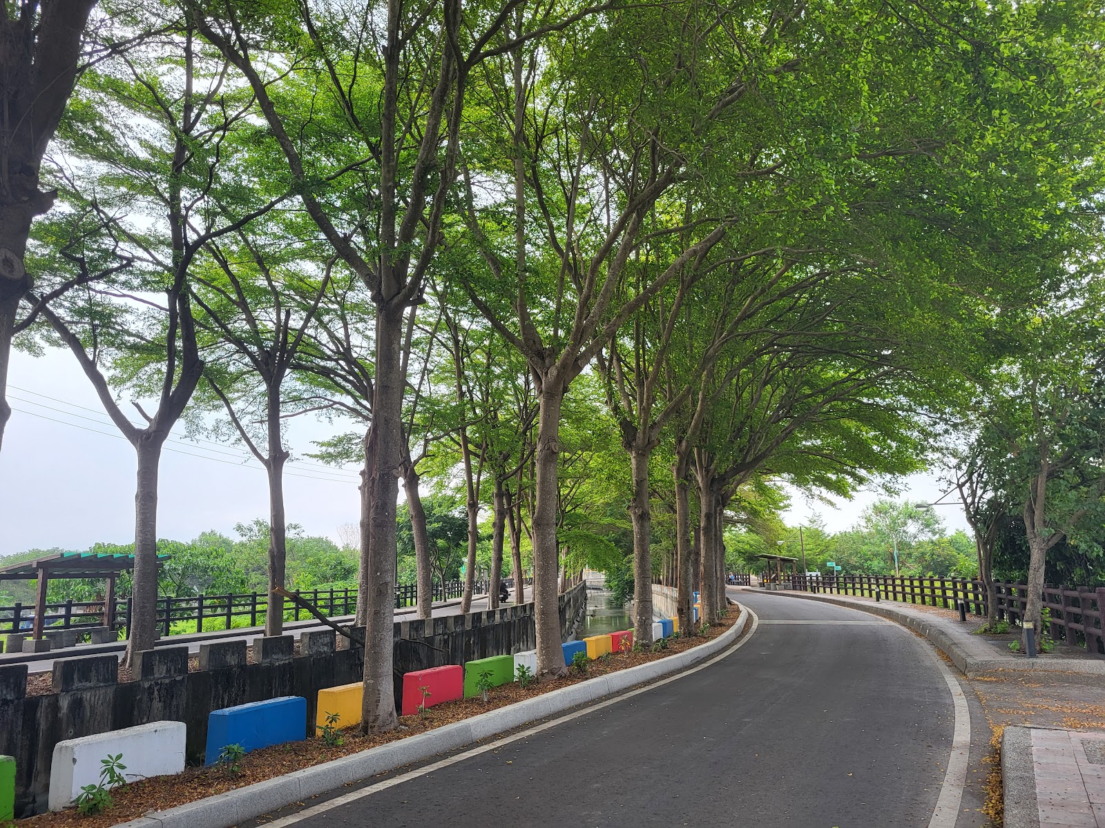 田中八堡圳綠色廊道樹蔭步道