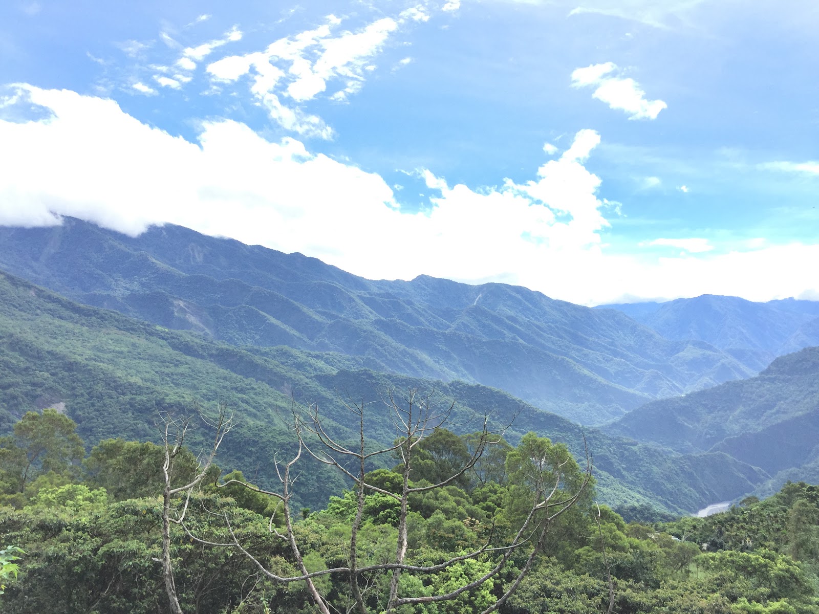 大路關石獅公全景廣福村古蹟石獅屏東高樹景點
