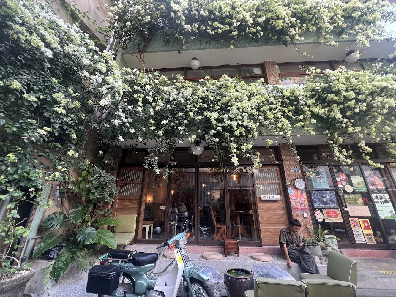 被白色花卉綠藤覆蓋的老宅建築外觀