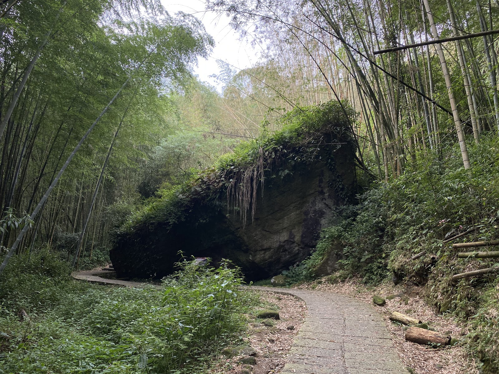 達娜伊谷景觀台俯瞰溪流與山谷
